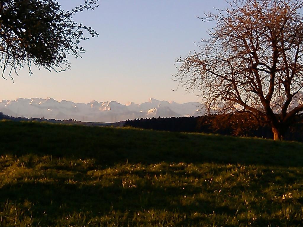 Bei Linda Beromünster